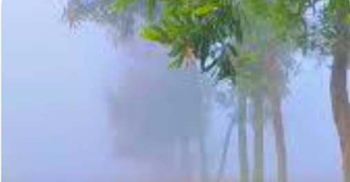 রাজশাহী বিভাগে এই শীতে বাড়ছে স্বাস্থ্যঝুঁকি